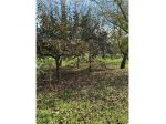 Agricolo in Via Cinquevie
