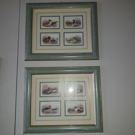 2 stampe anatre con cornice in plastica verde - Foto 2