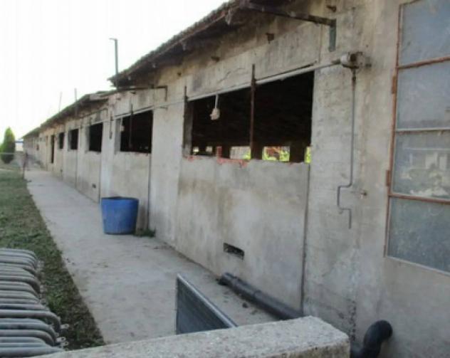 Immobile in asta di 7899 m² in vendita a Pieve del Cairo - Foto 3