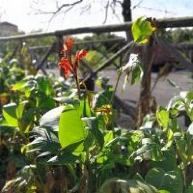 Agriturismo Il Sentiero degli Ulivi - Foto 2
