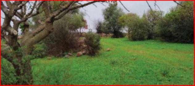 Immobile in asta di 769183 m² in vendita a Carlentini - Foto 12