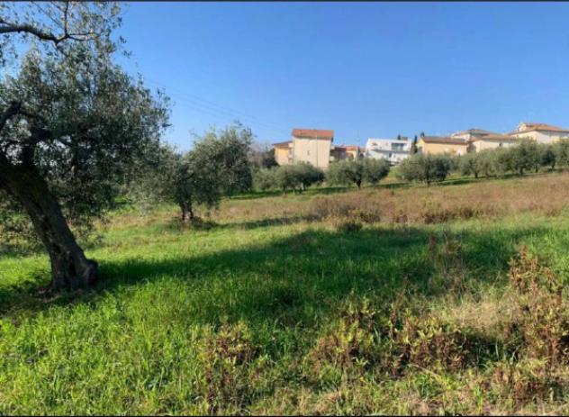 Immobile in asta di 2560 m² in vendita a Sant'Elpidio a Mare - Foto 4