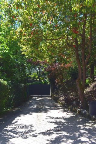 Villa in vendita a Farneta - Lucca 290 mq Rif: 1324774 - Foto 3