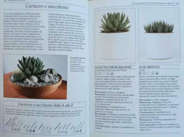 LE PIANTE DA APPARTAMENTO a cura di John Brookes 1°Edizione: Mondadori, 1990 - Foto 4