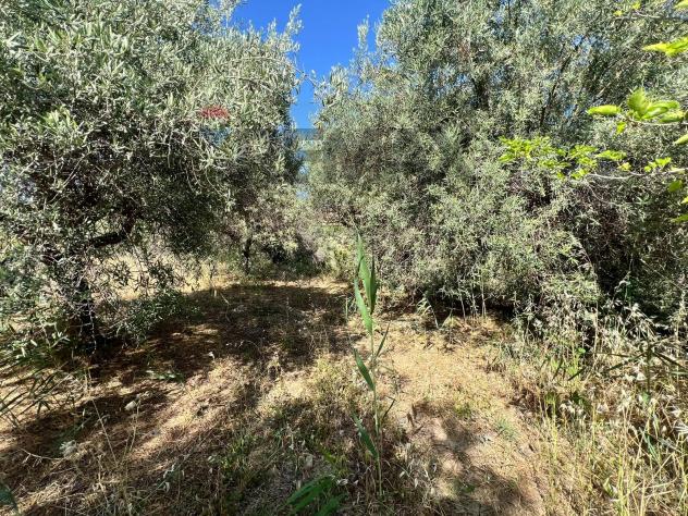 Terreno in vendita a Motta Sant'Anastasia - Foto 3