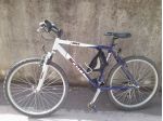 Mountain bike Scott