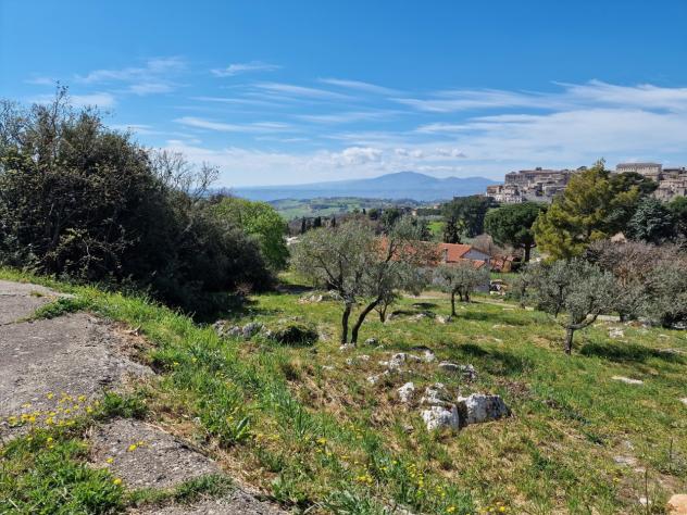 Terreno edificabile in vendita a Lugnano in Teverina - Foto 6