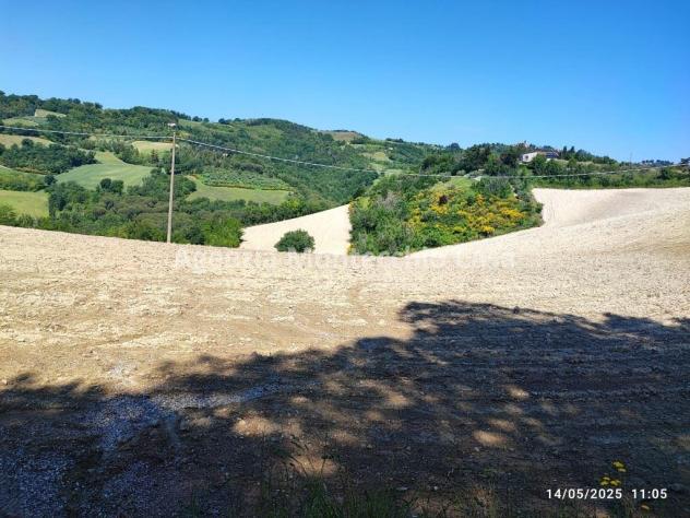 Terreno agricolo, bosco e capanno - Foto 6
