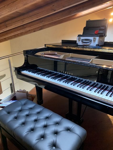ACCORDATORE DI PIANOFORTI MONZA E BRIANZA - Foto 2