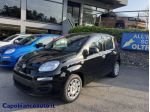 FIAT Panda 1.0 FireFly S&S Hybrid ICON KM0 PROMO rif. 23531843