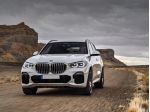 BMW X5 xDrive30d 48V xLine TETTO PANORAMICO APRIBILE  rif. 23834945