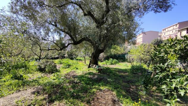 Terreno Agricolo - Iglesias . Rif.: Cod. rif 3303397VRG - Foto 7