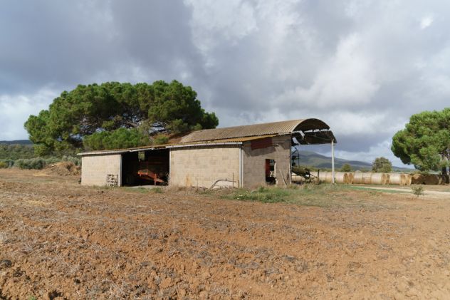 Magliano in Toscana, Podere Pantanella unione di passione e buon gusto - Foto 12