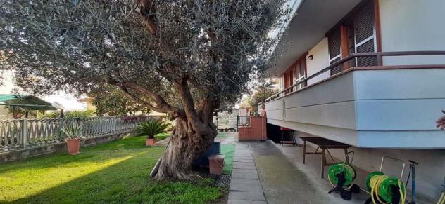 Villa bifamiliare - Tortoreto . Rif.: Rif. T708VRG - Foto 2