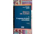 Diritto del Lavoro - 2. Il rapporto di lavoro subordinato - 9 edizione