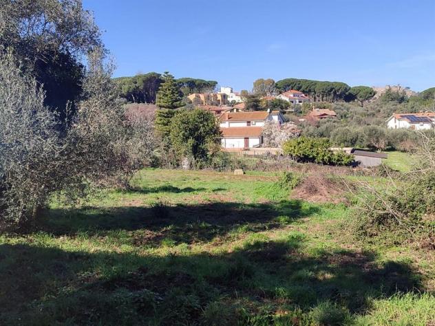 Terreno Edificabile - Rif. 2365 - Foto 5