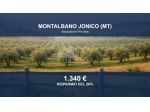Immobile in asta di 19341 m² in vendita a Montalbano Jonico
