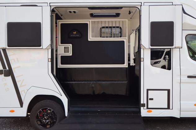 Renault Master Master 2.0 TD 170 CV Haras - Allestimento Stalloni - 5 posti - Foto 6