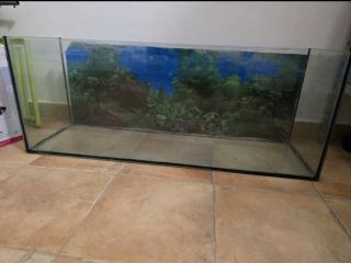 Acquario 100 litri con sfondo
