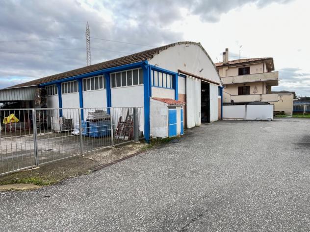 Industriale/Artigianale in vendita a Montescudaio - Foto 10