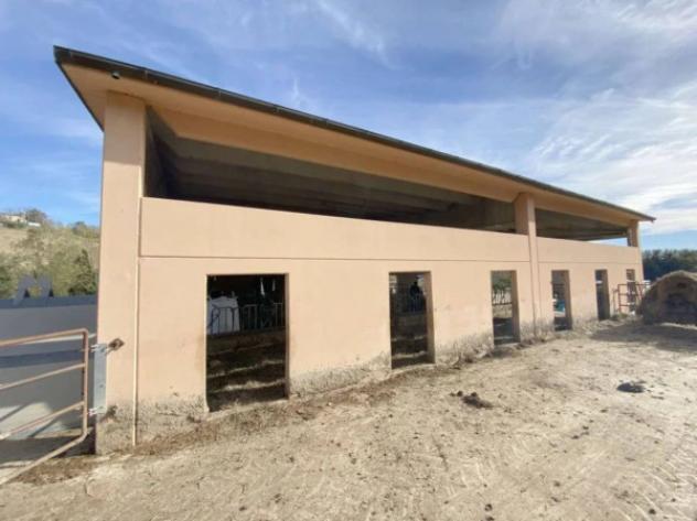 Immobile in asta di 131 m² in vendita a Pergola - Foto 16