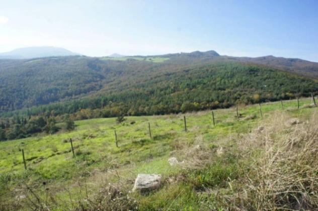 Immobile in asta di 1900000 m² in vendita a Piancastagnaio - Foto 3