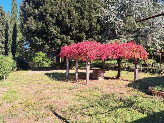 Tenuta Vivaio, Loc. Tregozzano - Rif. V185 - Foto 10