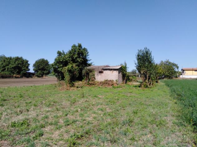 Agricolo in Via della Moletta - Foto 11