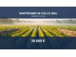 Immobile in asta di 44332 m² in vendita a Santeramo in Colle