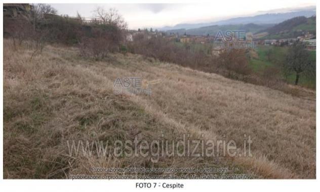 IMMOBILI-ALTRA CATEGORIA-Via Redipuglia, 41028 Serramazzoni MO, Italia - Foto 2