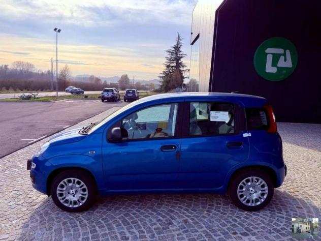 FIAT - Panda - 1.0 FireFly S&S Hybrid Launch Ed. - Foto 9