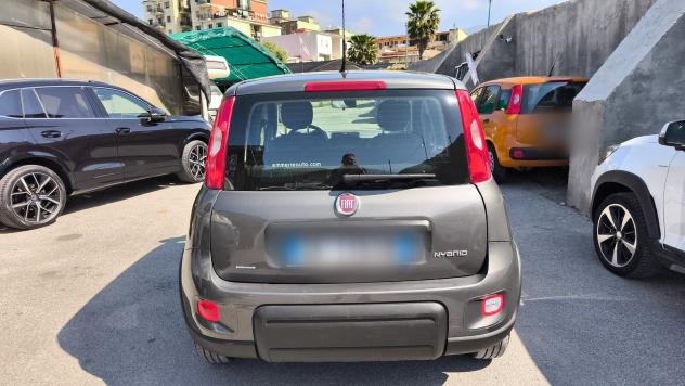 Fiat Panda 1.0 FireFly Hybrid City Life 2022 USATO - Foto 7