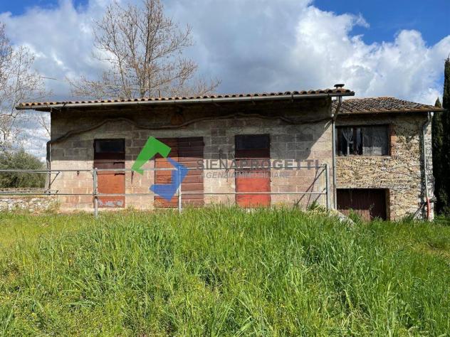 Antica colonica con azienda agricola a Castellina in Chianti, Siena. - Foto 17