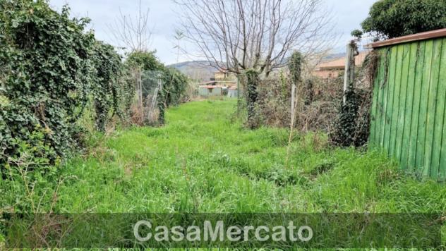 Agricolo in vendita a Rocca di Papa - Foto 4