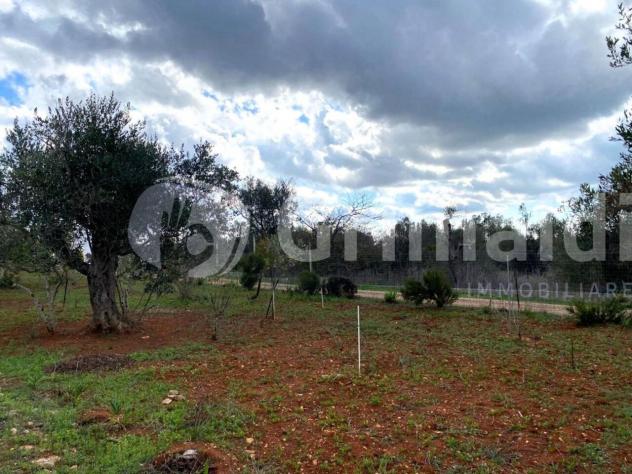 Terreno edificabile in vendita a Sannicola - Foto 6