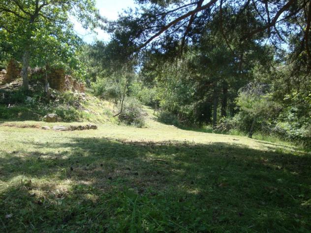 Terreno edificabile in vendita a Sassello - Foto 3