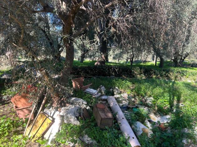 Agricolo in vendita a Siracusa - Foto 3