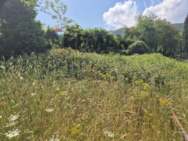 Terreno in vendita a Zafferana Etnea - Foto 11