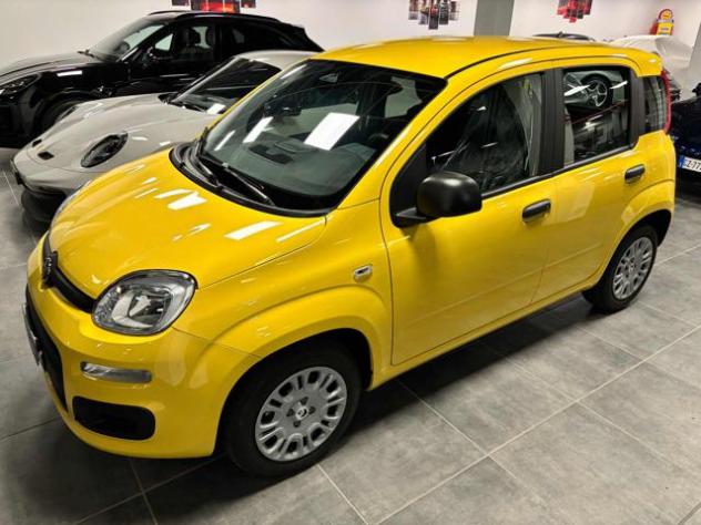 FIAT Panda 1.0 FireFly S&S Hybrid Pop - KM 0 - PREZZO PROMO rif. 22978989