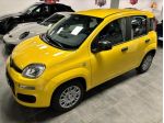 FIAT Panda 1.0 FireFly S&S Hybrid Pop - KM 0 - PREZZO PROMO rif. 22978989