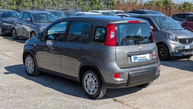 FIAT Panda FireFly Hybrid 1.0cc 69cv rif. 23515867 - Foto 6