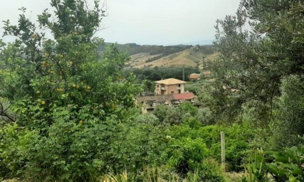 CASALE CON TERRENO IN CAMPAGNA - Foto 2