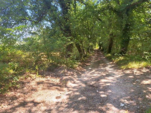 Immobile in asta di 221655 m² in vendita a Monte Castello di Vibio - Foto 3