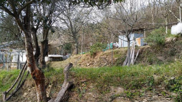 Alassio, terreno di circa 6.000 mq. con progetto per costruire una villa. - Foto 8
