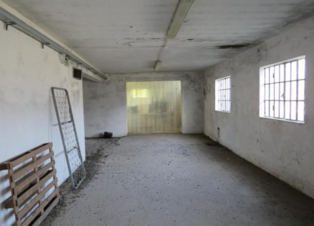 Immobile in asta di 855 m² con più di 5 locali in vendita a Cerea - Foto 5