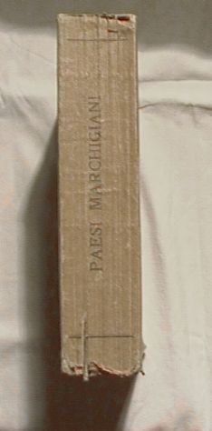 Paesi Marchigiani MCMX - Foto 7