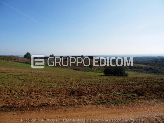 Terreno di 46370 mq in vendita a Montescaglioso - Rif. 4555042 - Foto 20