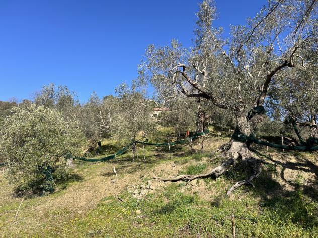 Casa di campagna in Località Torre - Foto 14