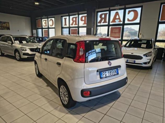 FIAT Panda 1.2 Easy NEOPATENTATI rif. 23790713 - Foto 7