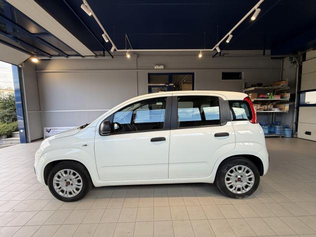 FIAT Panda 1.0 FireFly 70cv S&S Hybrid - Foto 2